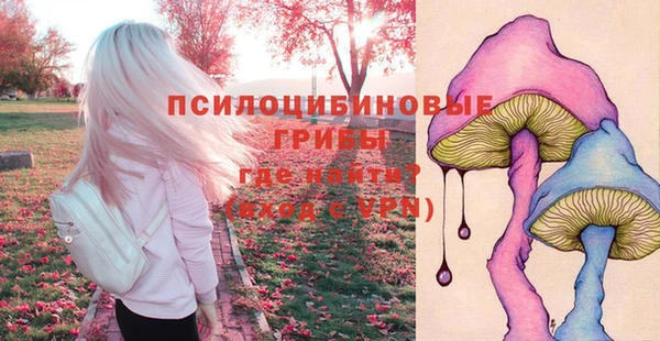 соль курить ск Алексин
