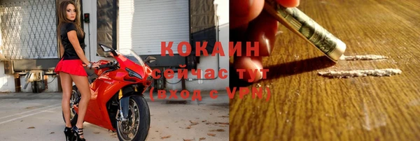 прущие грибы Пролетарск