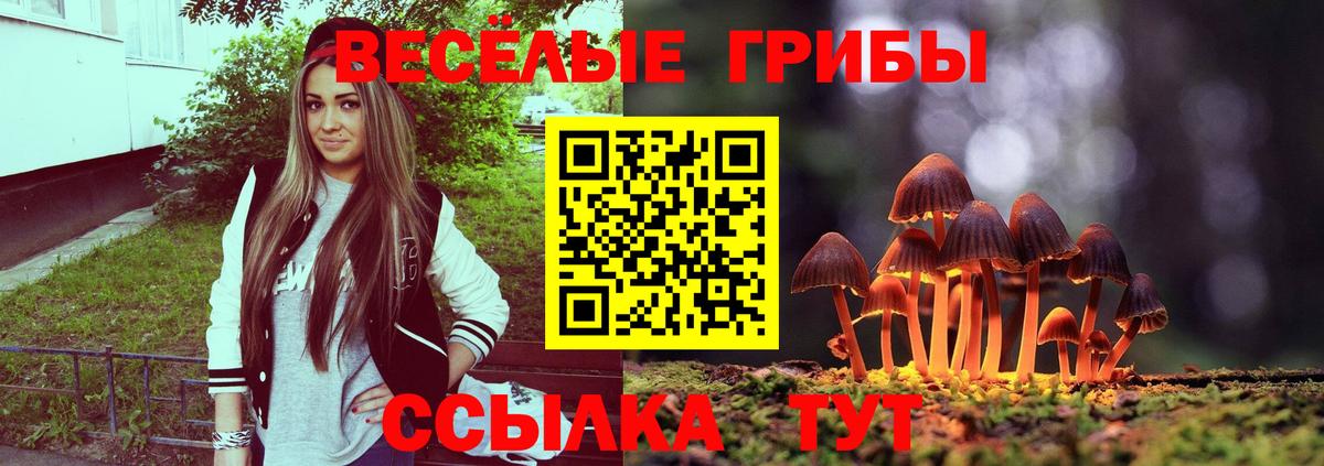 Галлюциногенные грибы прущие грибы  Вход с VPN  Кирово-Чепецк  Псилоцибиновые грибы прущие грибы 